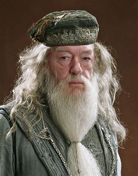 franchise, the DC Extended Universe,. . Harry potter wiki dumbledore